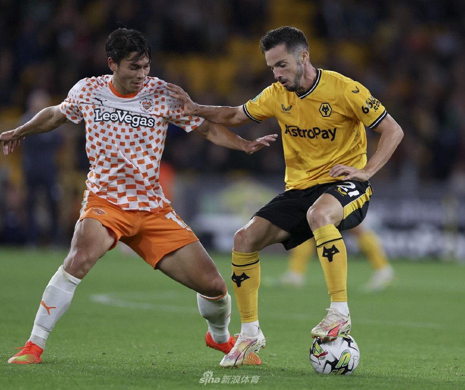 心理支持 心理支持